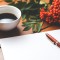personal statement word counter